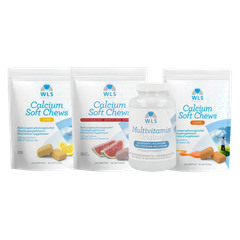 Value pack WLS Original Multivitamin+Calcium Soft Chews for 3 months