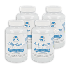 4 x WLS Multivitamin Original with Iron