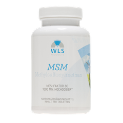 WLS MSM 1000 mg, Sulfur, Methylsulfonylmethane
